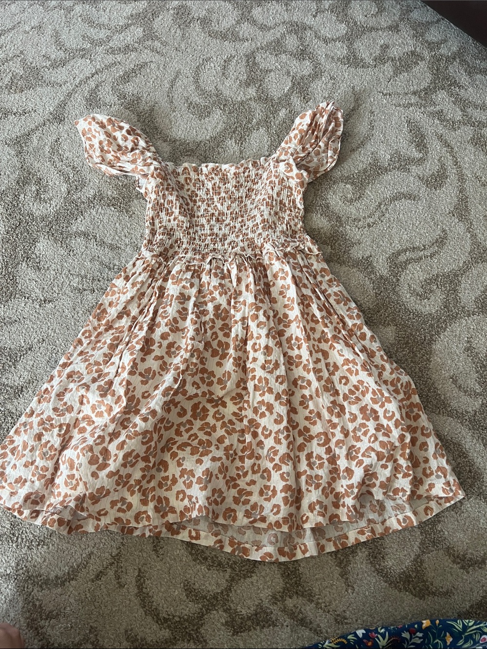 Rachel Zoe Cream Dress with Brown Leopard Print